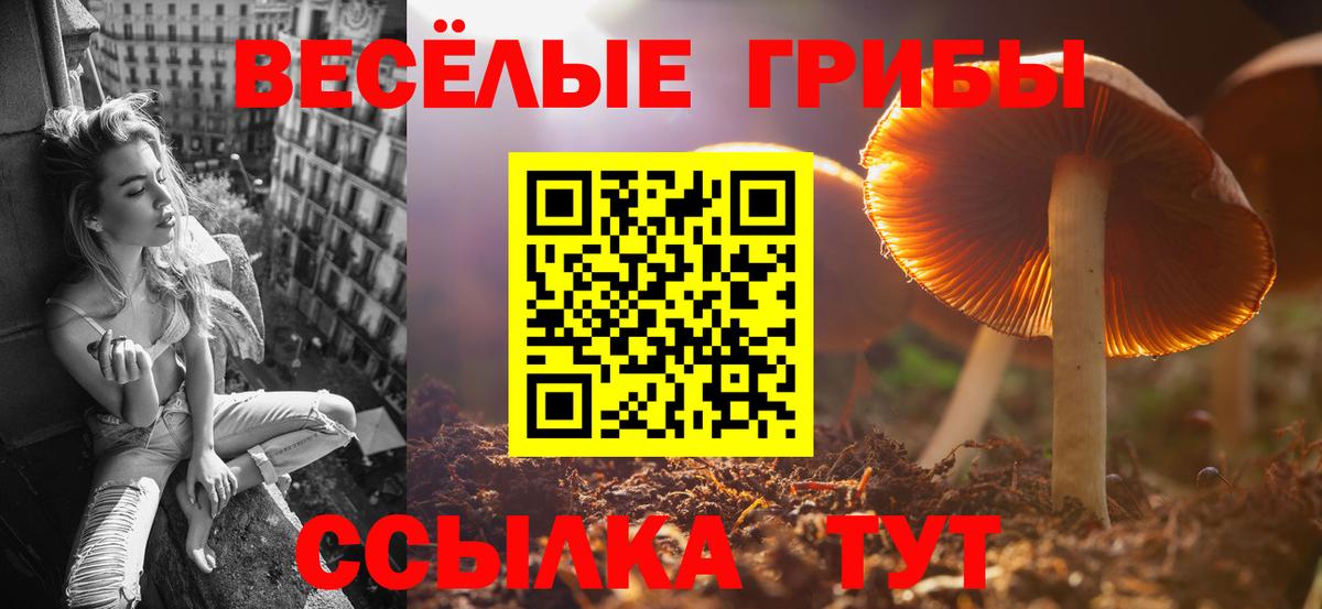 Псилоцибиновые грибы ЛСД Калуга