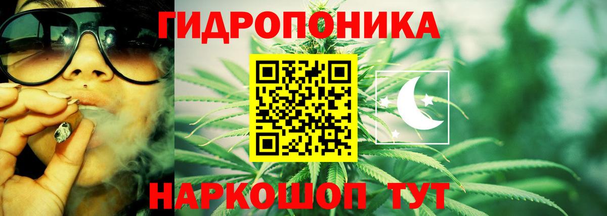 Канабис тримм  Каннабис SATIVA & INDICA  Калуга  Конопля конопля  Вход с VPN  Шишки марихуана сатива 